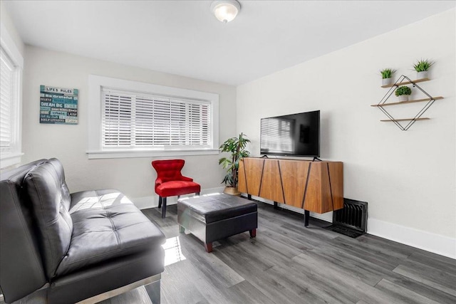 living room with wood-type flooring and a wealth of natural light