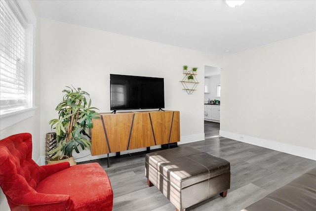 living room with hardwood / wood-style flooring