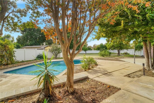 view of pool with a fenced in pool, a patio area, and a fenced backyard