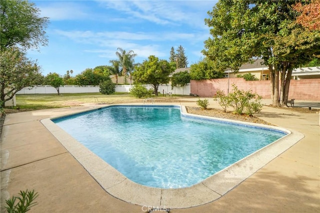 view of pool with a patio, a fenced backyard, and a fenced in pool