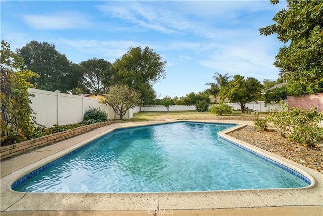 view of swimming pool featuring a fenced backyard and a fenced in pool