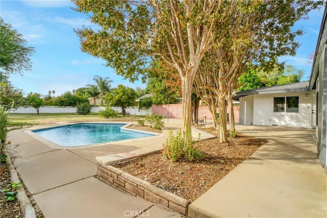 view of pool with a patio, a fenced backyard, and a fenced in pool