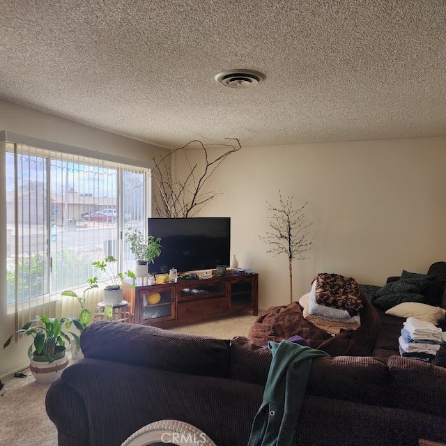 living room with carpet and a textured ceiling