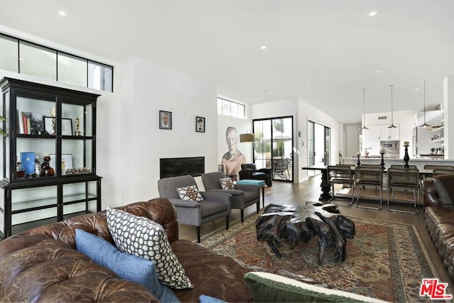 living room featuring hardwood / wood-style floors