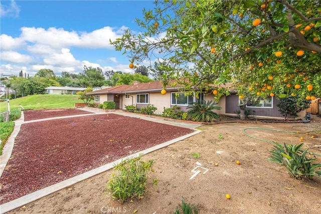 ranch-style house featuring stucco siding and a front lawn