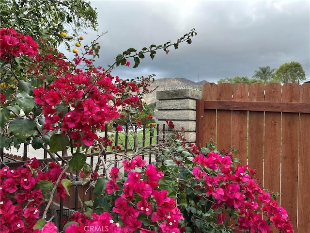 details with a mountain view and fence