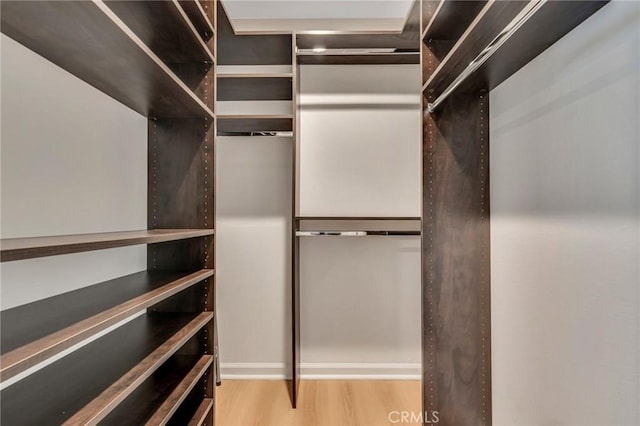 walk in closet featuring light hardwood / wood-style flooring