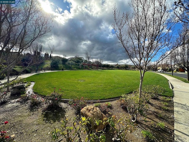 view of home's community with a lawn