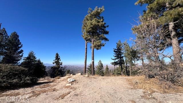 view of local wilderness