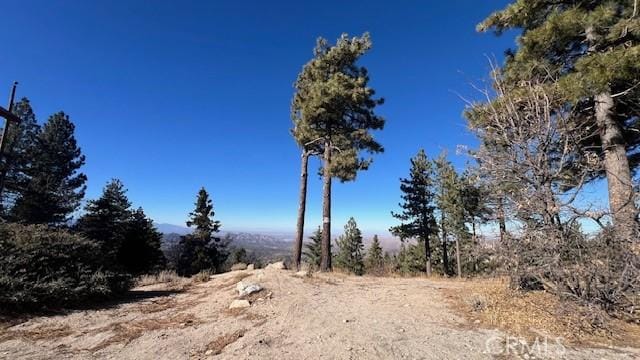 view of local wilderness