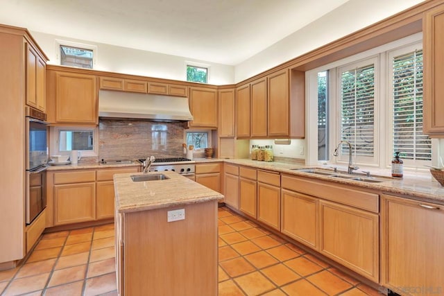 kitchen featuring a kitchen island with sink, sink, light stone countertops, and backsplash