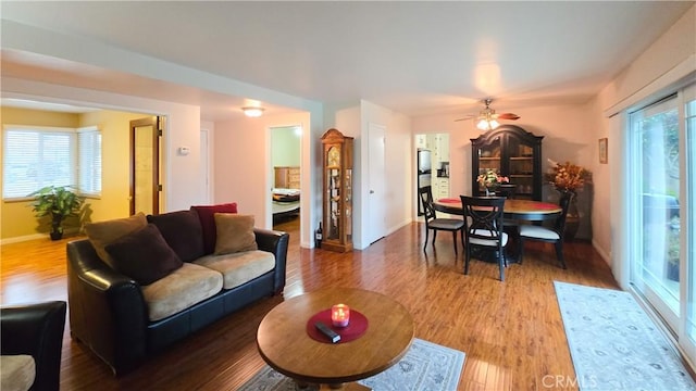 living room with ceiling fan, wood-type flooring, and plenty of natural light