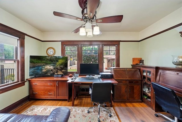 office space featuring ceiling fan and light wood-type flooring