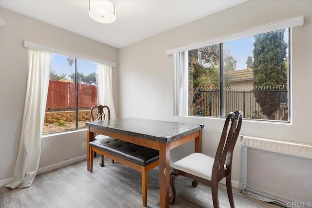 dining space featuring hardwood / wood-style floors