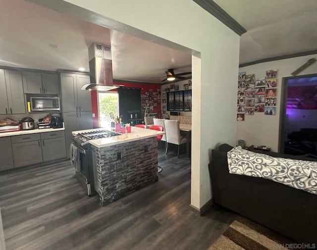 kitchen featuring gray cabinets, appliances with stainless steel finishes, island exhaust hood, ceiling fan, and dark wood-type flooring