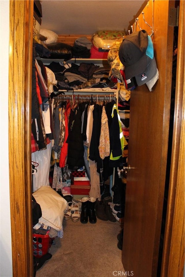 walk in closet featuring carpet flooring