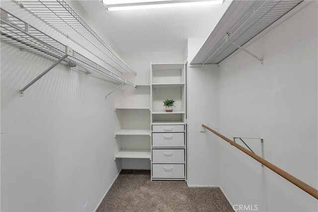 31750 1st St, Acton, CA 93510 - walk in closet featuring carpet flooring
