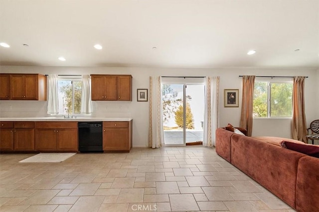 kitchen with dishwasher and sink