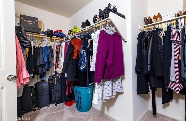 spacious closet with carpet