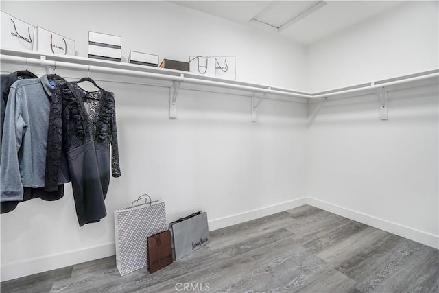 walk in closet featuring hardwood / wood-style floors