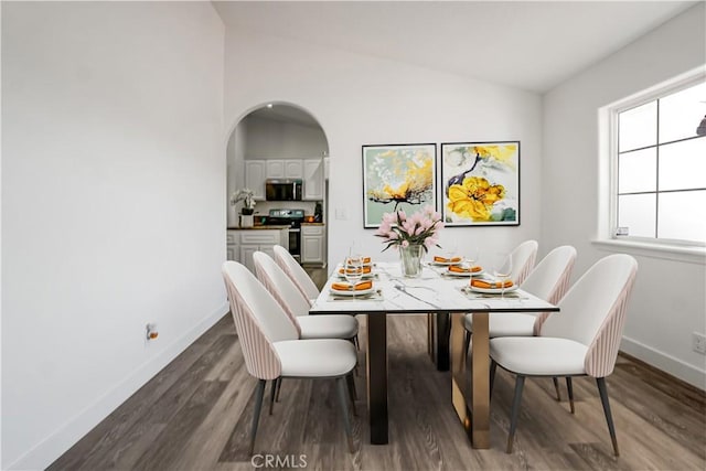 dining room with lofted ceiling and dark hardwood / wood-style floors