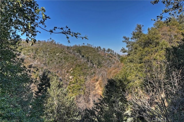 view of nature with a mountain view