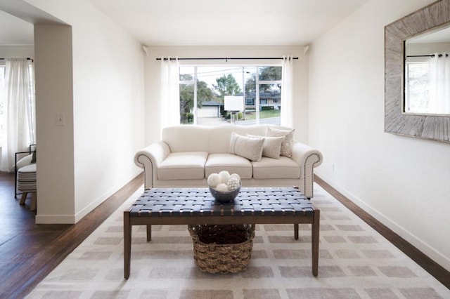 living room with hardwood / wood-style flooring