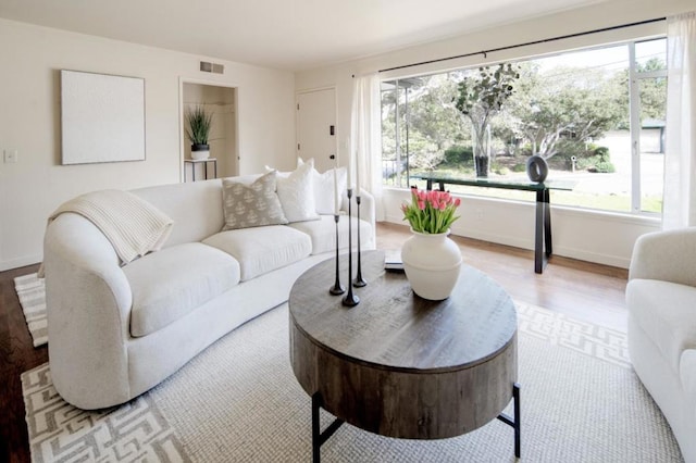 living room with a healthy amount of sunlight and light hardwood / wood-style floors