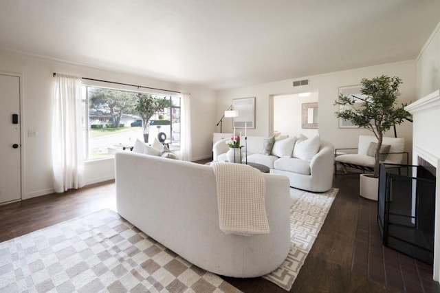 living room featuring wood-type flooring