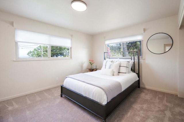 bedroom featuring carpet