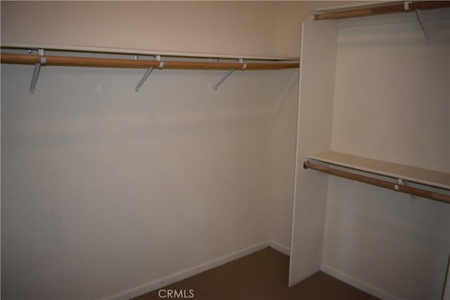 spacious closet with carpet