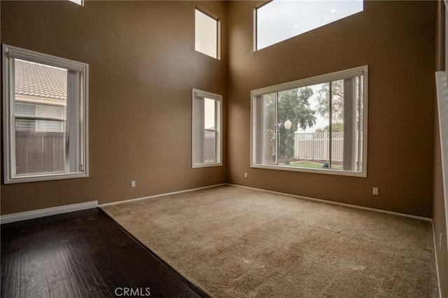 spare room featuring carpet floors and a towering ceiling