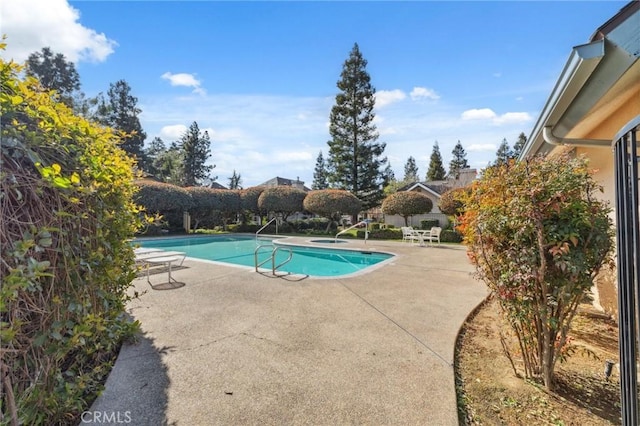 view of swimming pool with a patio