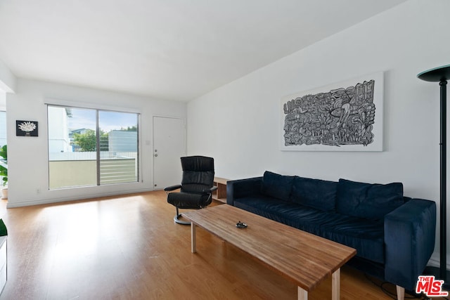 living room with wood-type flooring