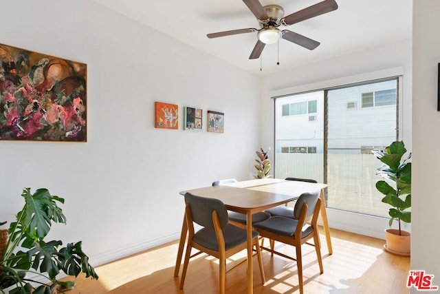 dining space with ceiling fan and light wood-type flooring