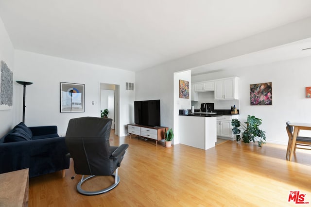 living room featuring light hardwood / wood-style flooring