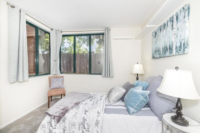 bedroom with carpet floors