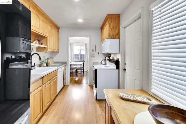 kitchen with light brown cabinetry, sink, white appliances, and light hardwood / wood-style flooring