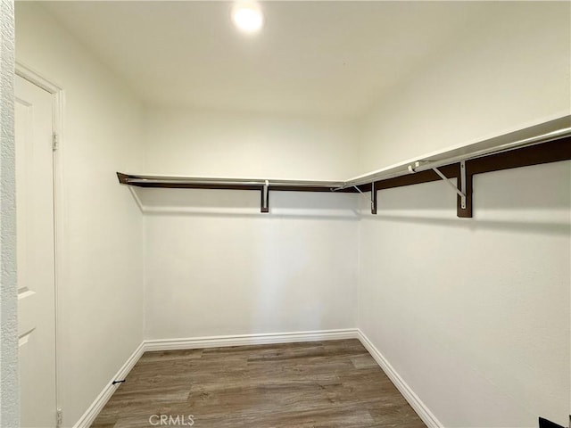 walk in closet featuring dark wood-type flooring