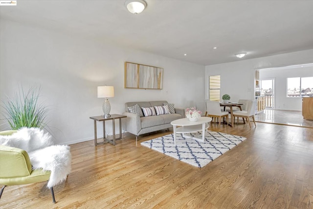 living room with light wood-type flooring