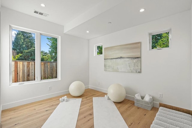 workout room featuring hardwood / wood-style floors