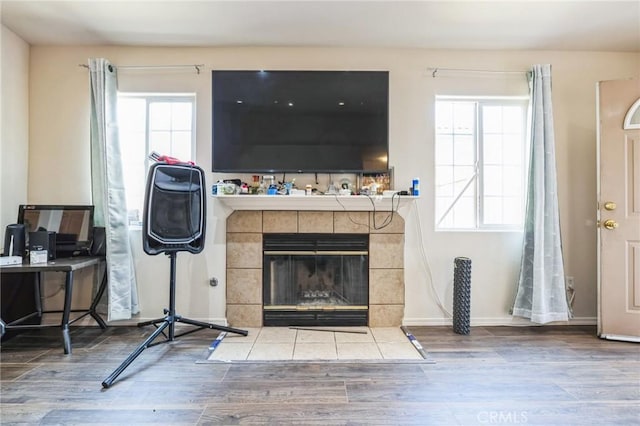 living room featuring wood-type flooring and a fireplace