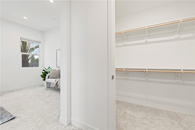 spacious closet with light carpet