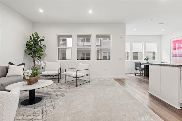 living room with wood-type flooring