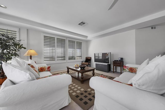 living room featuring a raised ceiling