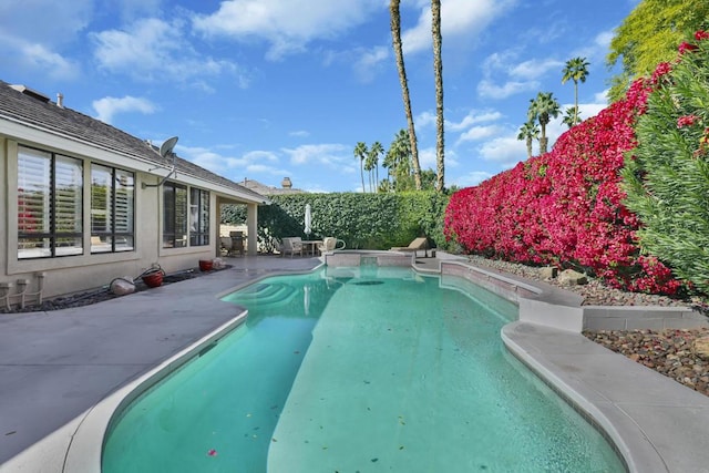 view of swimming pool featuring a patio