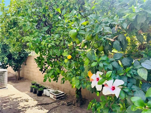 view of yard featuring central air condition unit