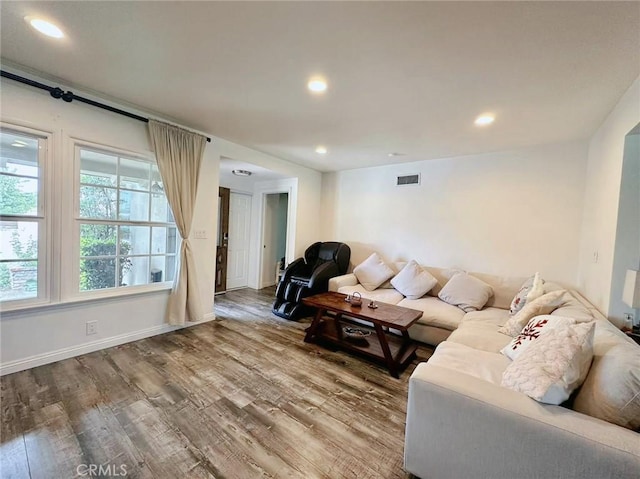 living room with wood-type flooring