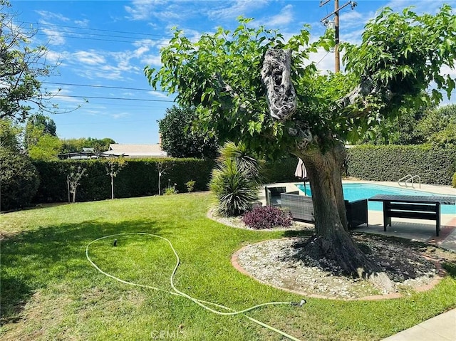 view of yard with a fenced in pool and a patio