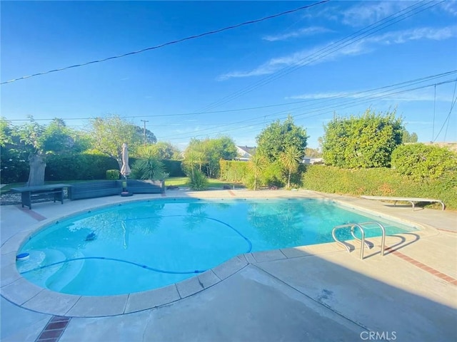 view of pool with a patio area and a diving board